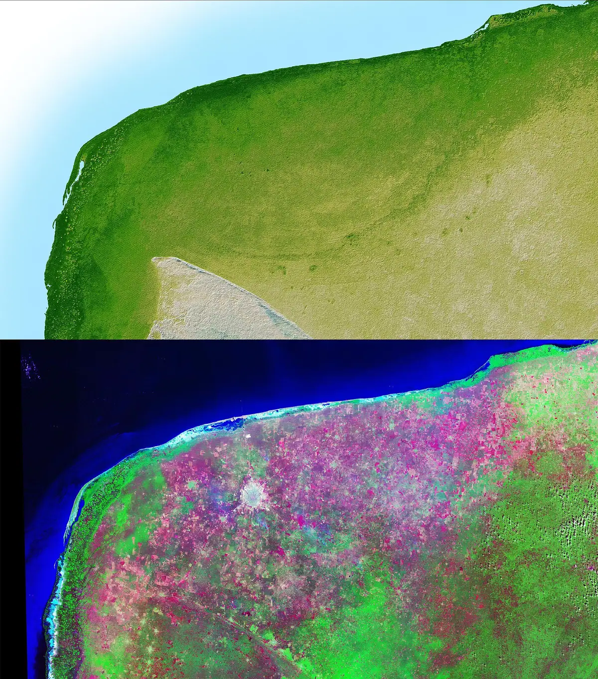 Mapa de relieve sombreado del noroeste de Yucatán donde se aprecia el arco semicircular del cráter de Chicxulub