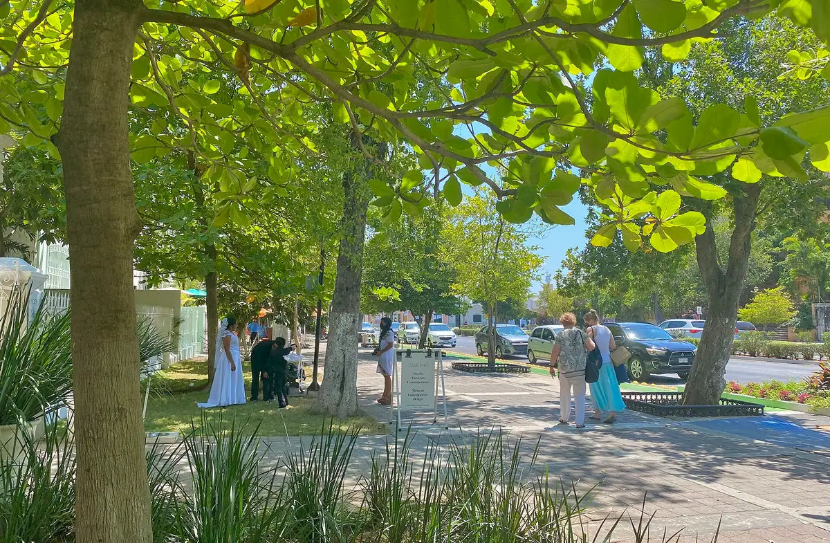 Avenida del Paseo de Montejo en Mérida, Yucatán, con sus mansiones porfirianas y árboles a ambos lados