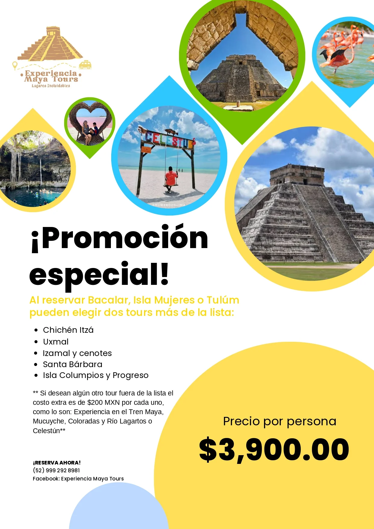 ¡Promoción Especial!