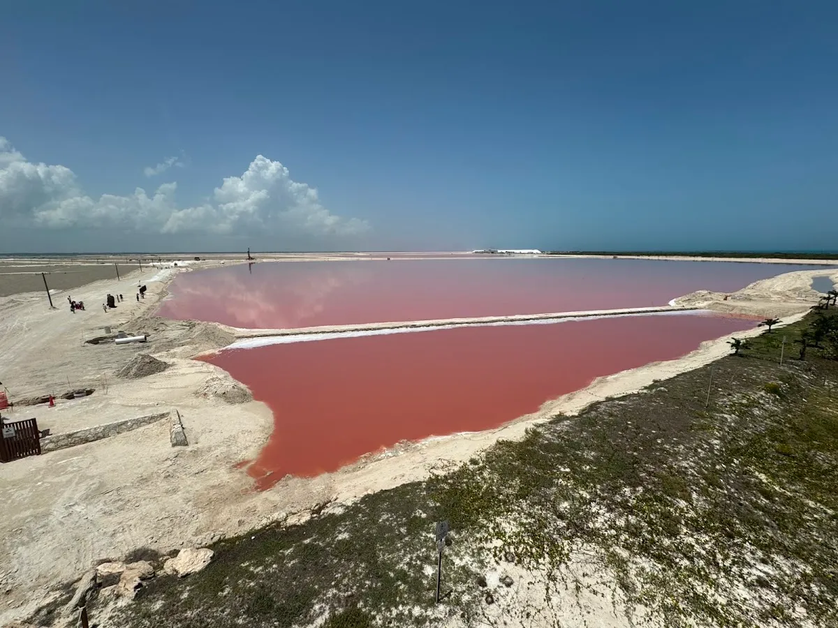 Foto del tour compartida por Jasmin Zapata en su reseña de Google