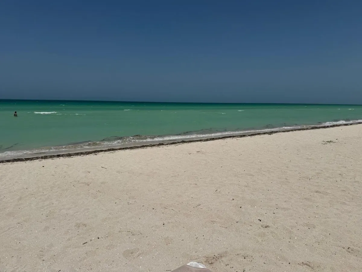 Foto del tour compartida por Jasmin Zapata en su reseña de Google